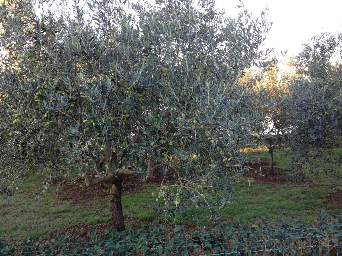 Appartement Volme Pula